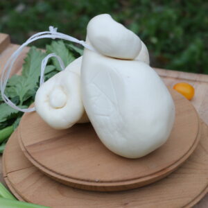 Scamorza
